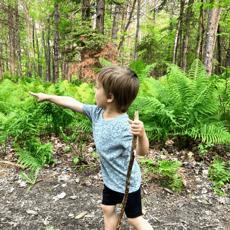 7 Strategies to Get Your Toddler Hiking Independently