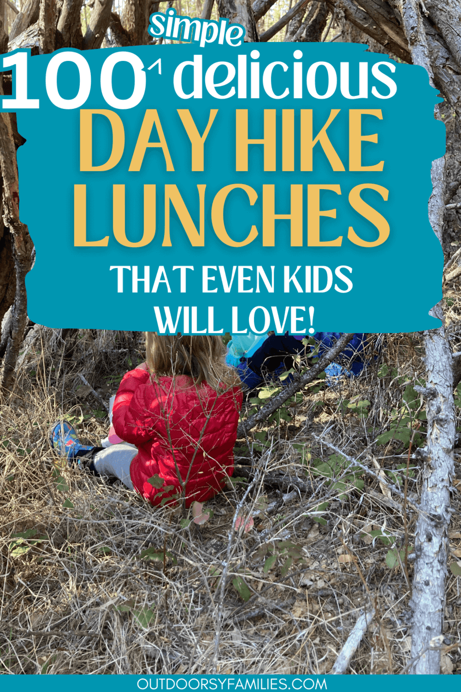 100+ Simple and Easy Day Hike Lunch Ideas - Outdoorsy Families